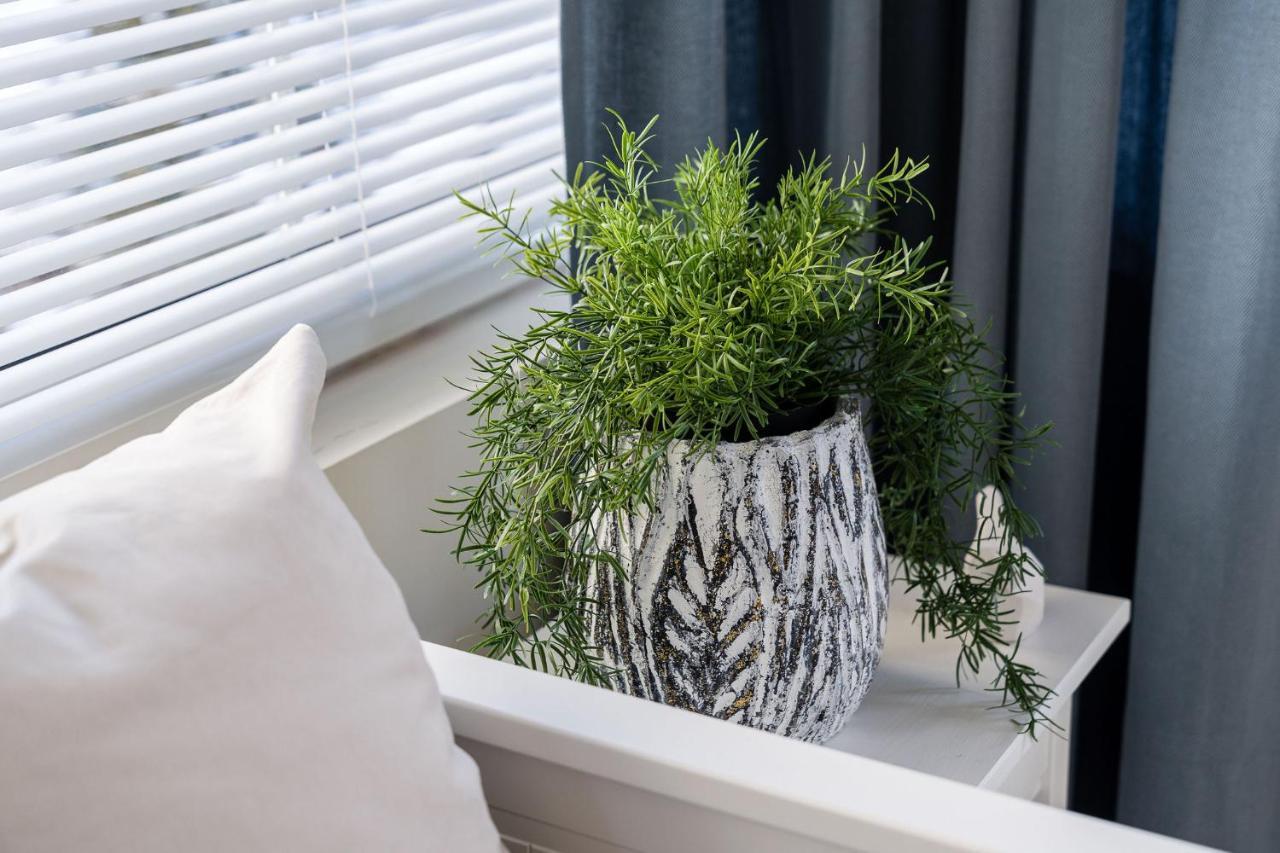 Apartment Sanhaus - Toledo - 3 Minuty Od Plazy *